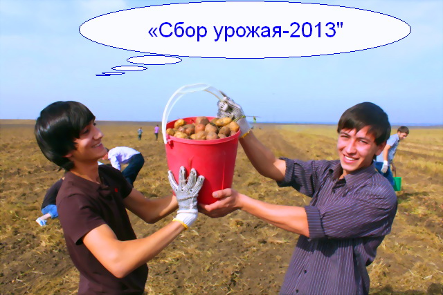 Фонд "Мял" объявляет благотворительную акцию «Сбор урожая-2013"